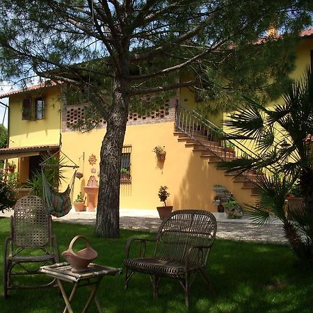 B&B Piceno Castel di Lama ภายนอก รูปภาพ